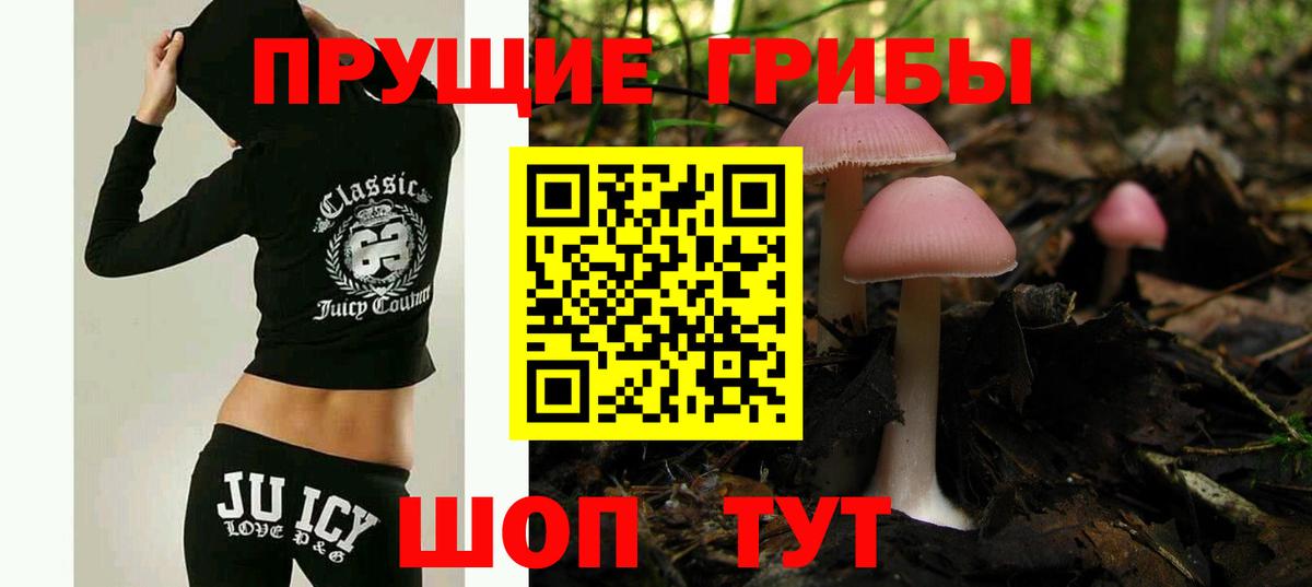 Галлюциногенные грибы Psilocybe  Псилоцибиновые грибы Psilocybe  Урус-Мартан  наркотики  Вход с VPN 
